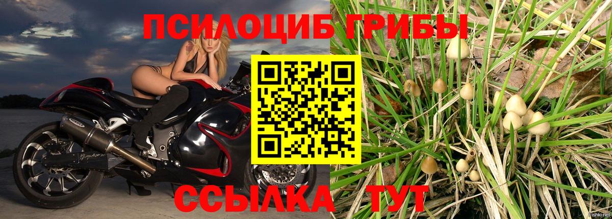 Галлюциногенные грибы ЛСД  Вход с VPN  Гагарин 