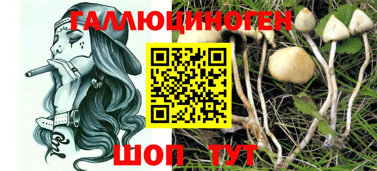Псилоцибиновые грибы прущие грибы Гагарин